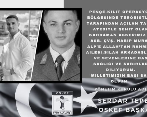 Pençe-Kilit Operasyonu